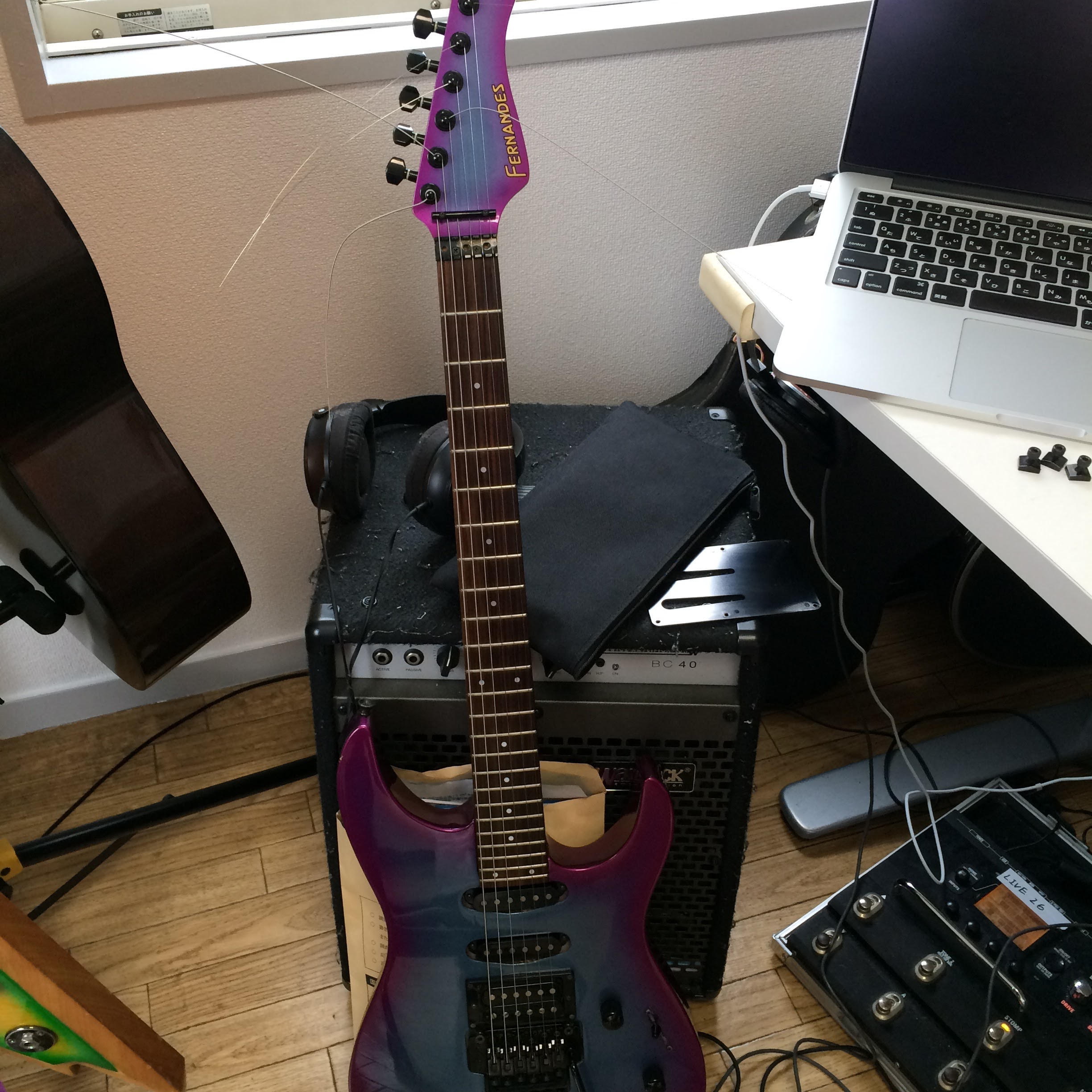 [Guitar] Fernandes FST-55