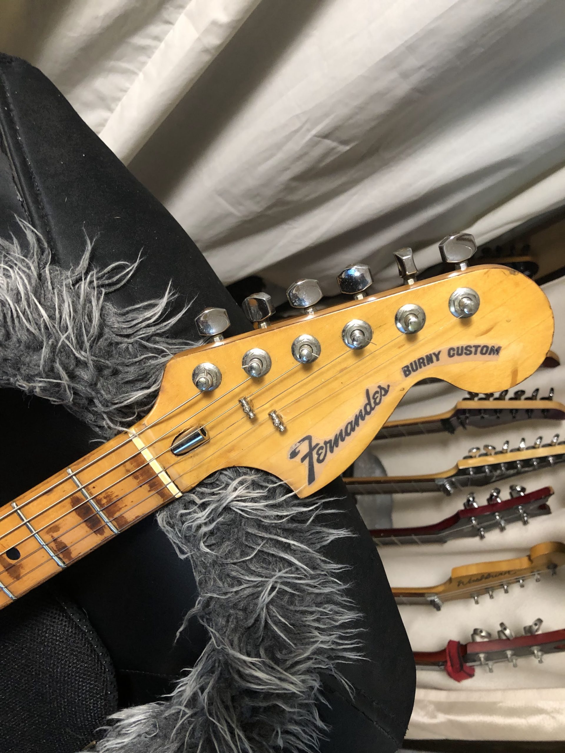 [Guitar] Fernandes FST-75N Burny Custom